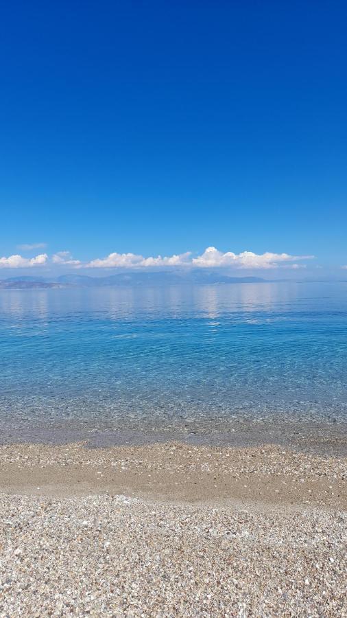 Akrata Rose Garden Apartments I Παραλία Ακράτας Εξωτερικό φωτογραφία